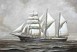 Caledonia-conversion-OVM-Olivier