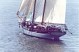 93-ft.-Gaff-Schooner-Tocorime-OV