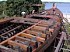 93-ft.-Gaff-Schooner-Tocorime-OV